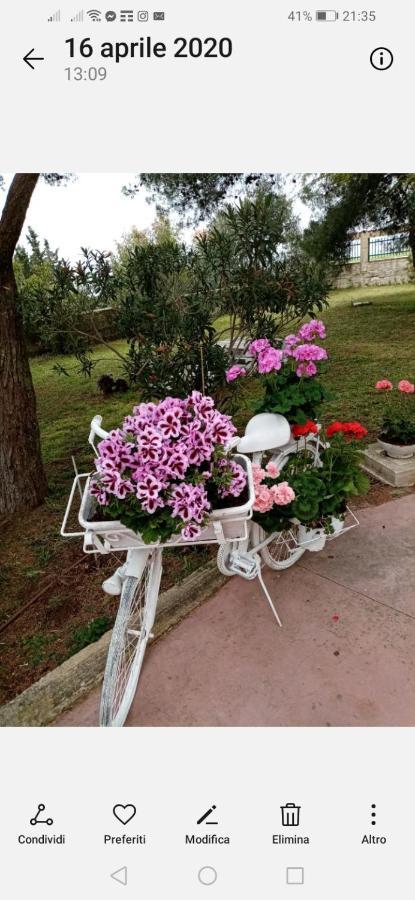 Hotel La Dimora Di Nonno Nuccio Ragusa Exterior foto