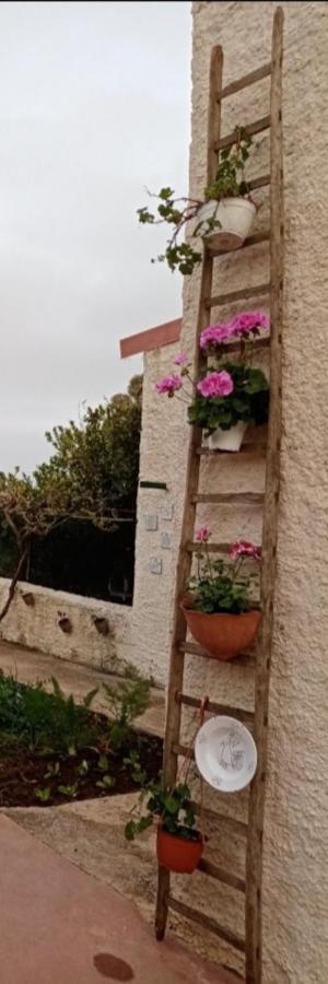 Hotel La Dimora Di Nonno Nuccio Ragusa Exterior foto